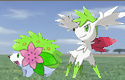 Shaymin